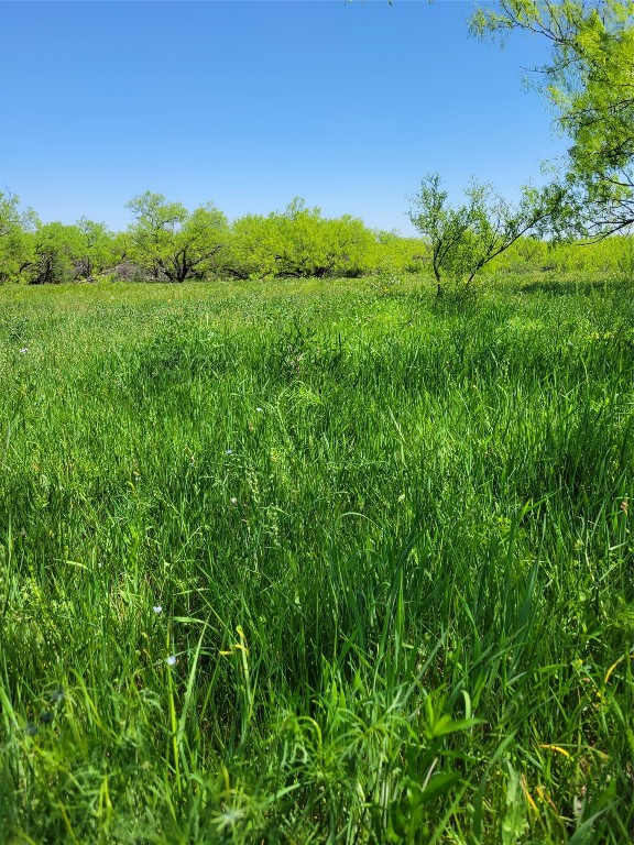 401 Cr 104 Santa Anna TX 76878