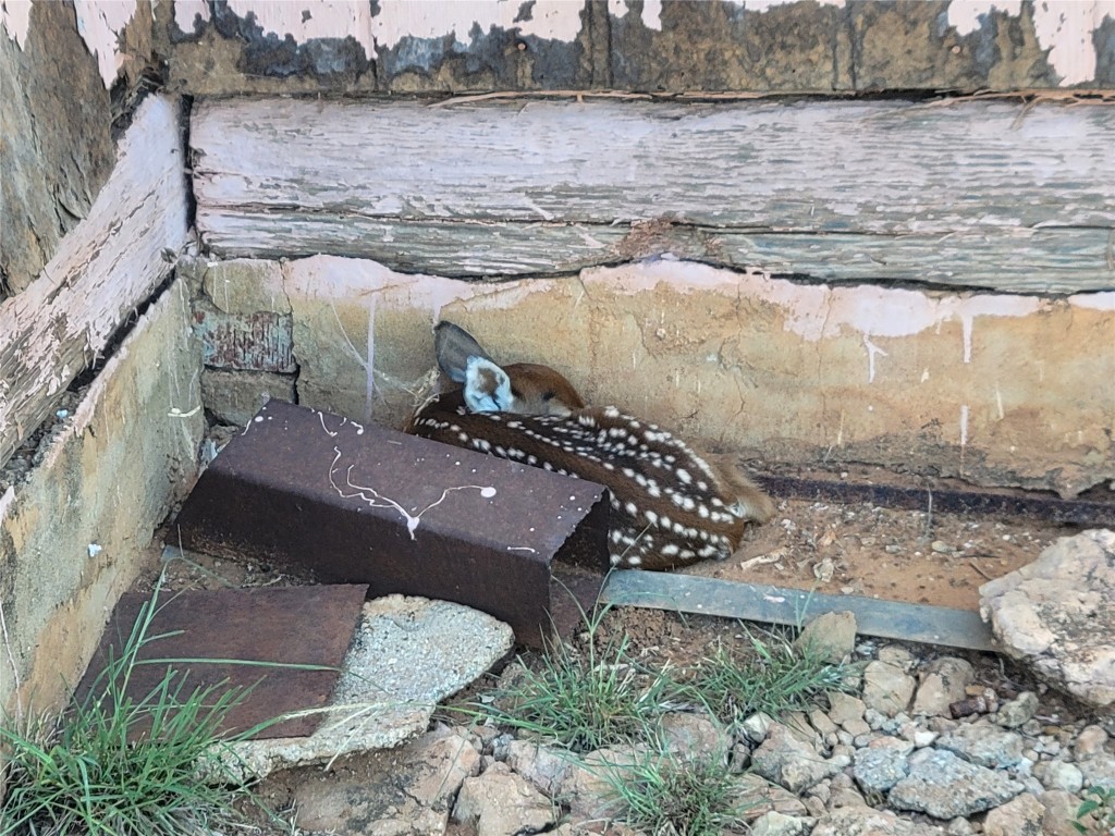 401 Cr 104 Santa Anna TX 76878