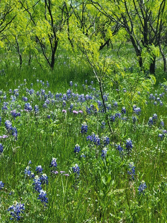 401 Cr 104 Santa Anna TX 76878