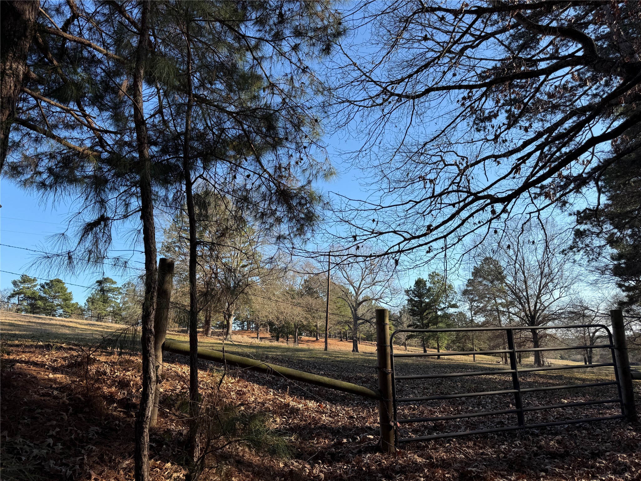 Tbd Farm Market 2015 Tyler TX 75708