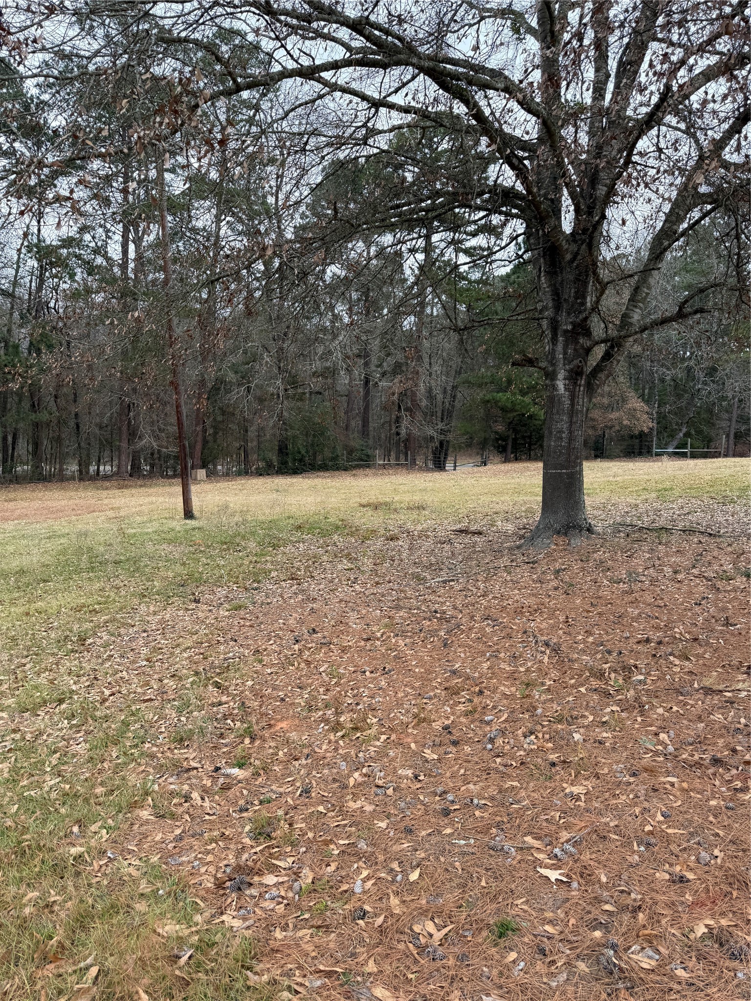 Tbd Farm Market 2015 Tyler TX 75708