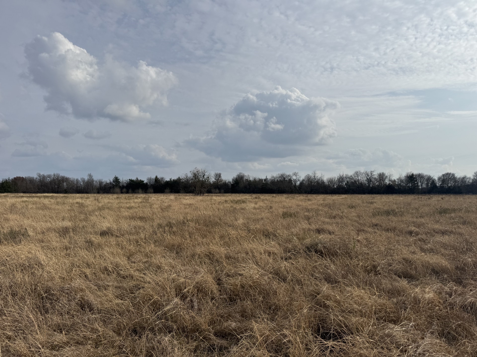 Tbd Cr 22900 Paris TX 75460