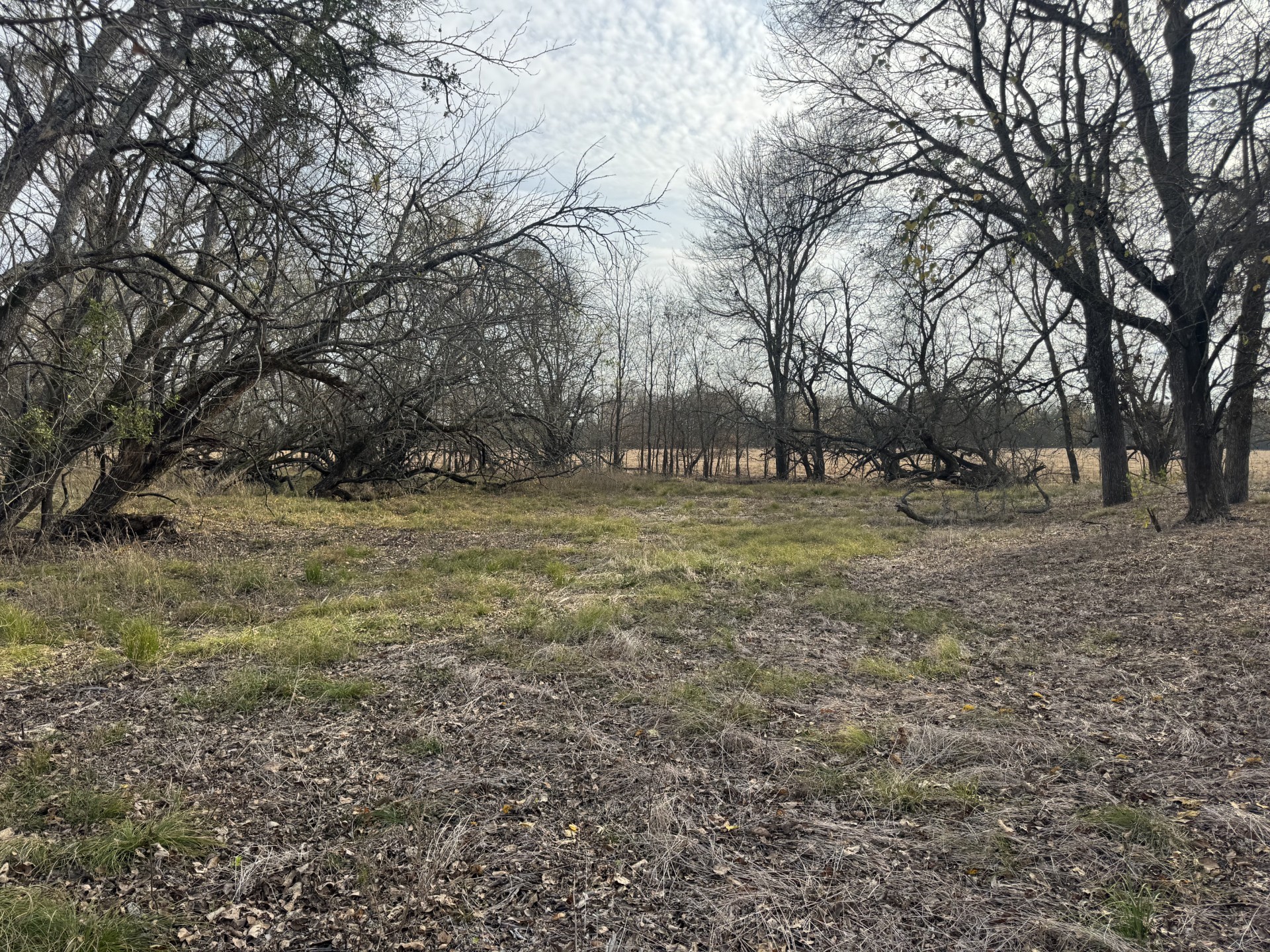 Tbd Cr 22900 Paris TX 75460