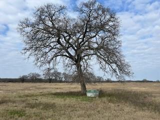 Tbd County Road 2404 Kemp TX 75143