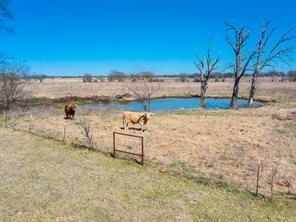Tbd County Road 2404 Kemp TX 75143