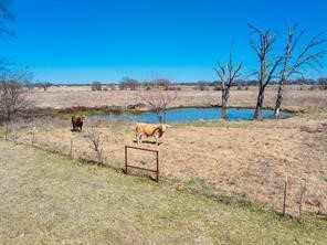 Tbd County Road 2404 Kemp TX 75143