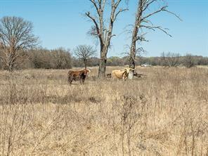 Tbd County Road 2404 Kemp TX 75143