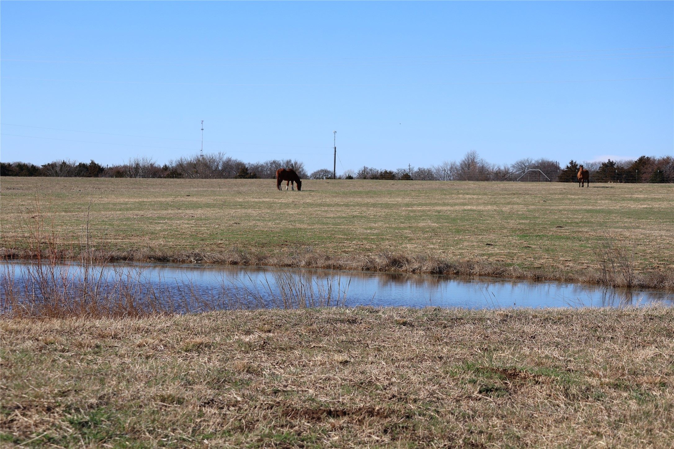 164 Jrc Ranch Court Gainesville TX 76240