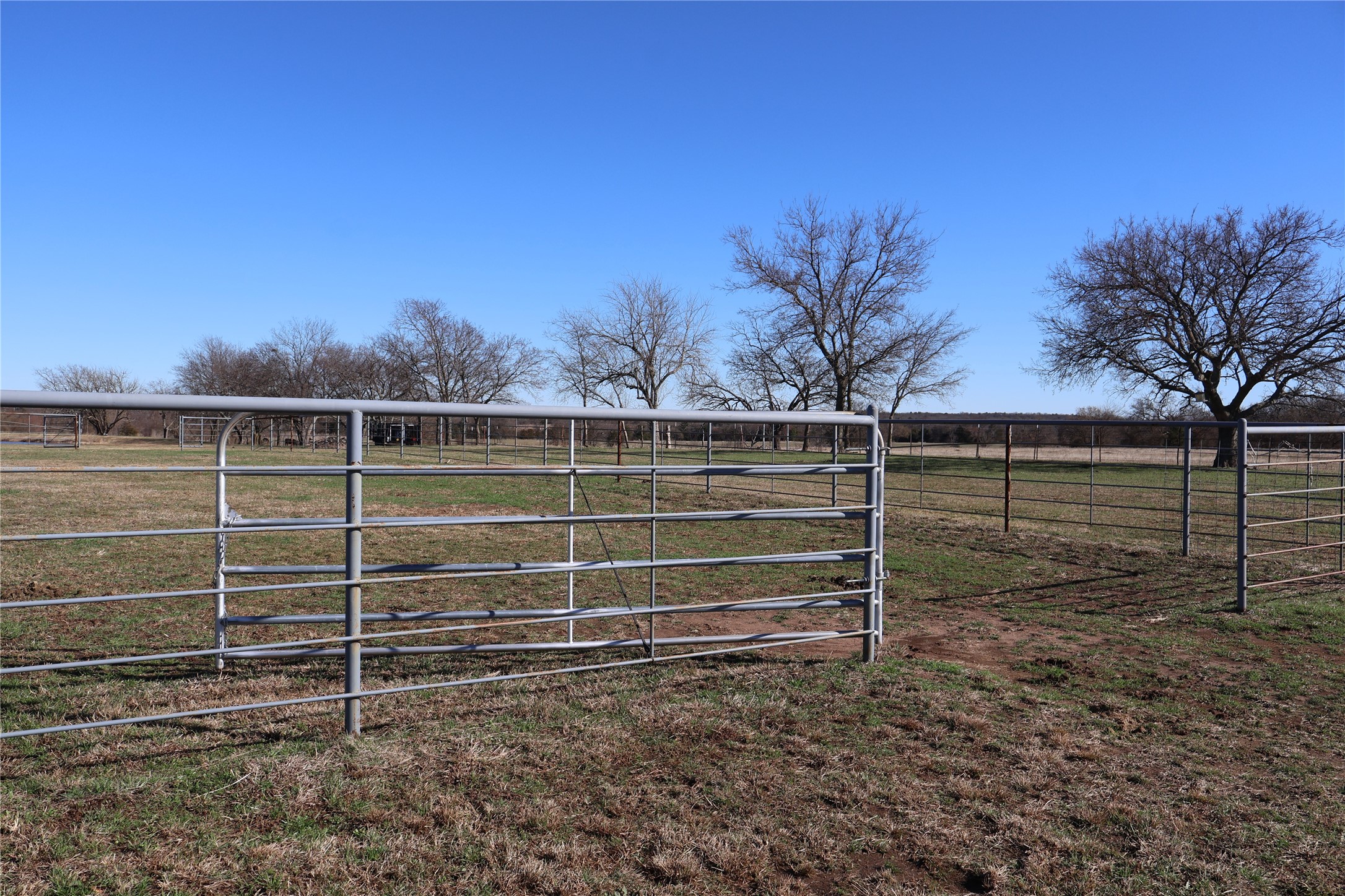 164 Jrc Ranch Court Gainesville TX 76240
