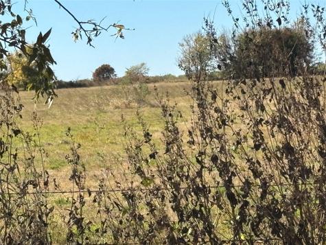 13.8 Acres / Tract 5 Winn Road Collinsville TX 76268