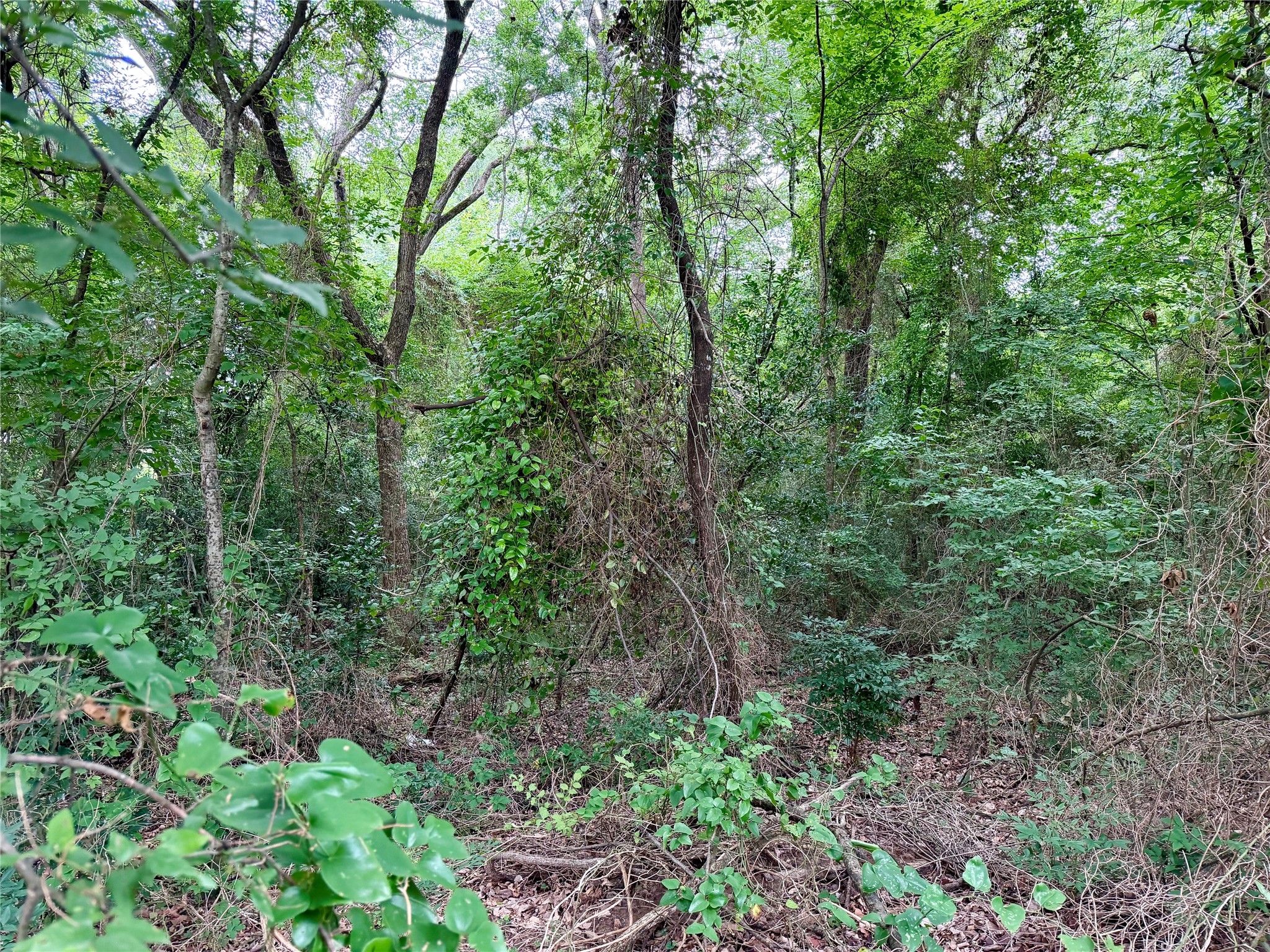0 Garner Drive Mabank TX 75156