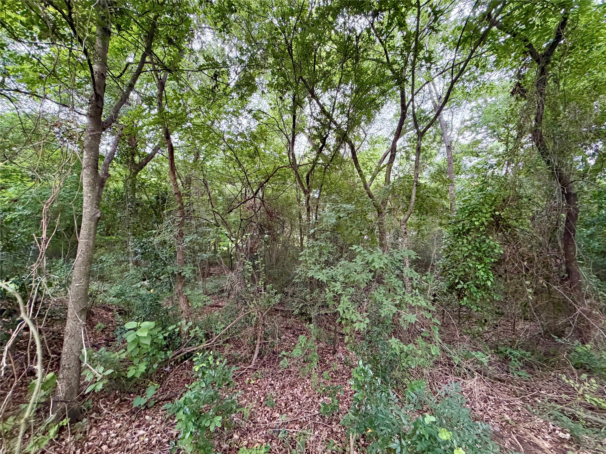 0 Garner Drive Mabank TX 75156