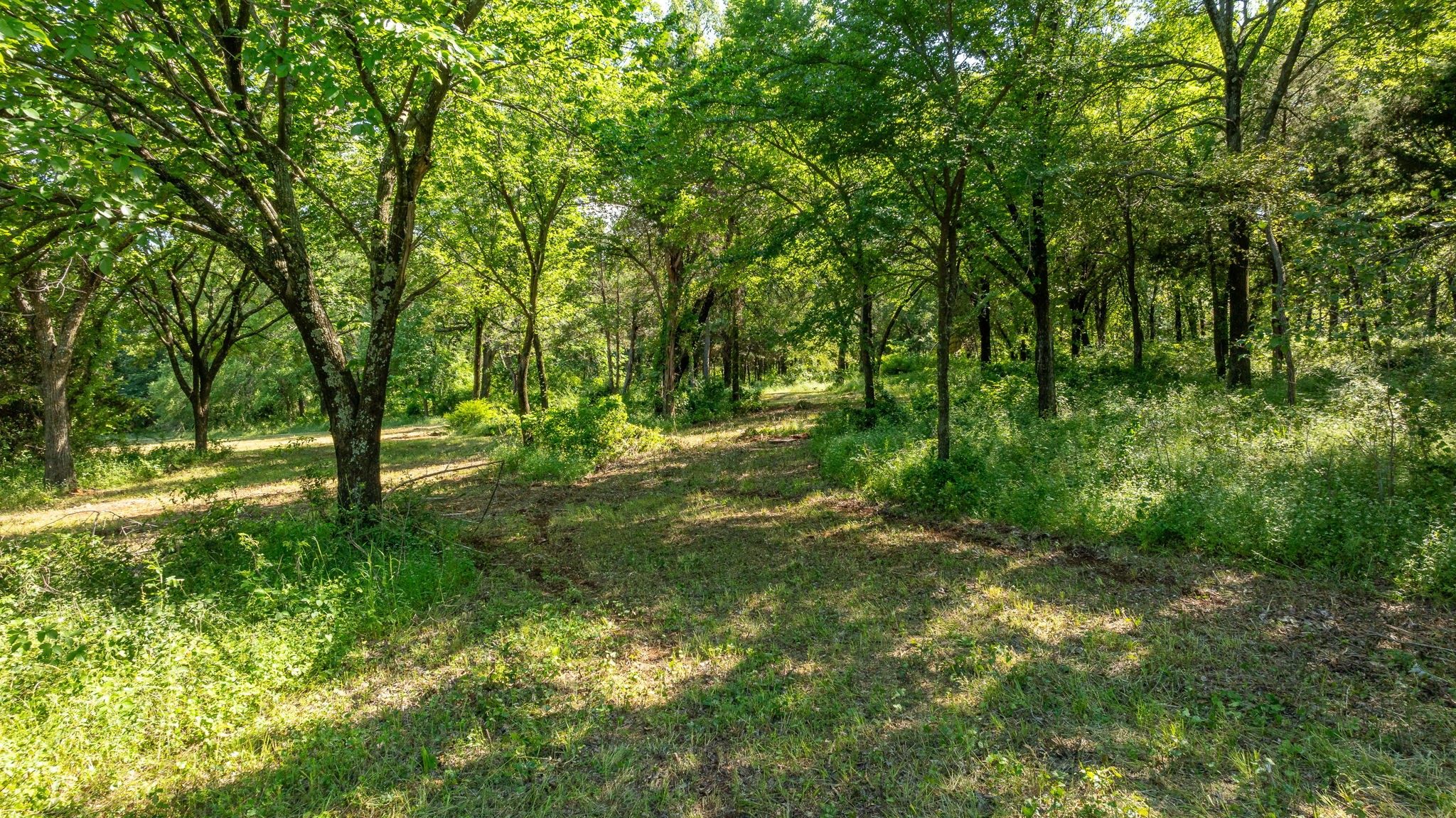 Tbd E Fm 455 Pilot Point TX 76258