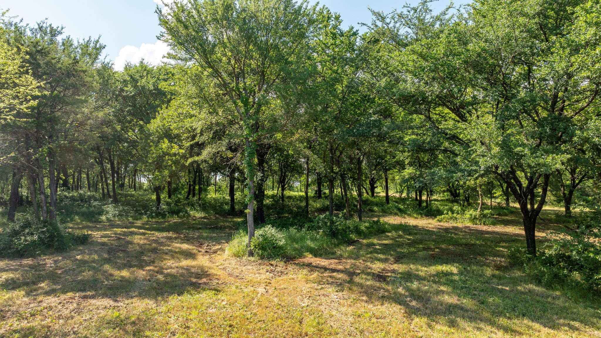 Tbd E Fm 455 Pilot Point TX 76258