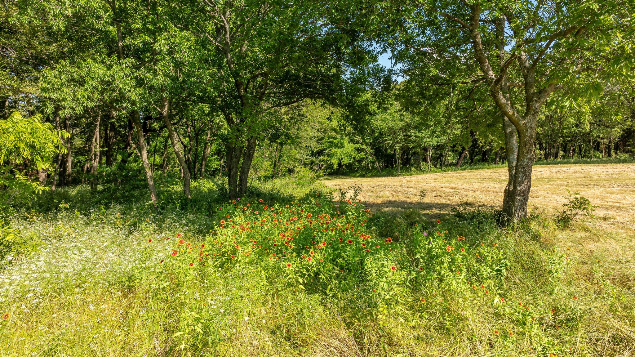 Tbd E Fm 455 Pilot Point TX 76258