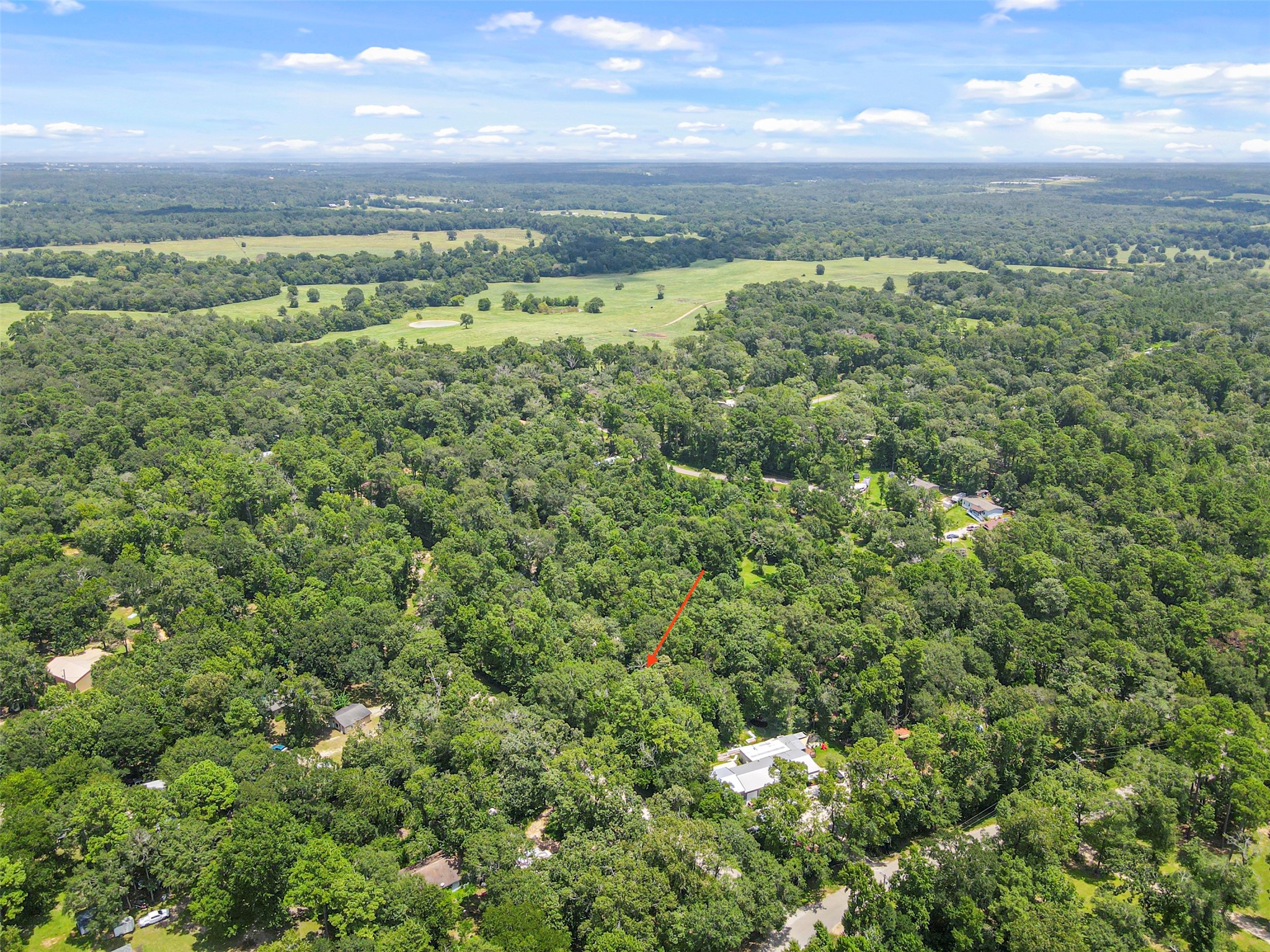 000 Fisher Ln Loop Willis TX 77378