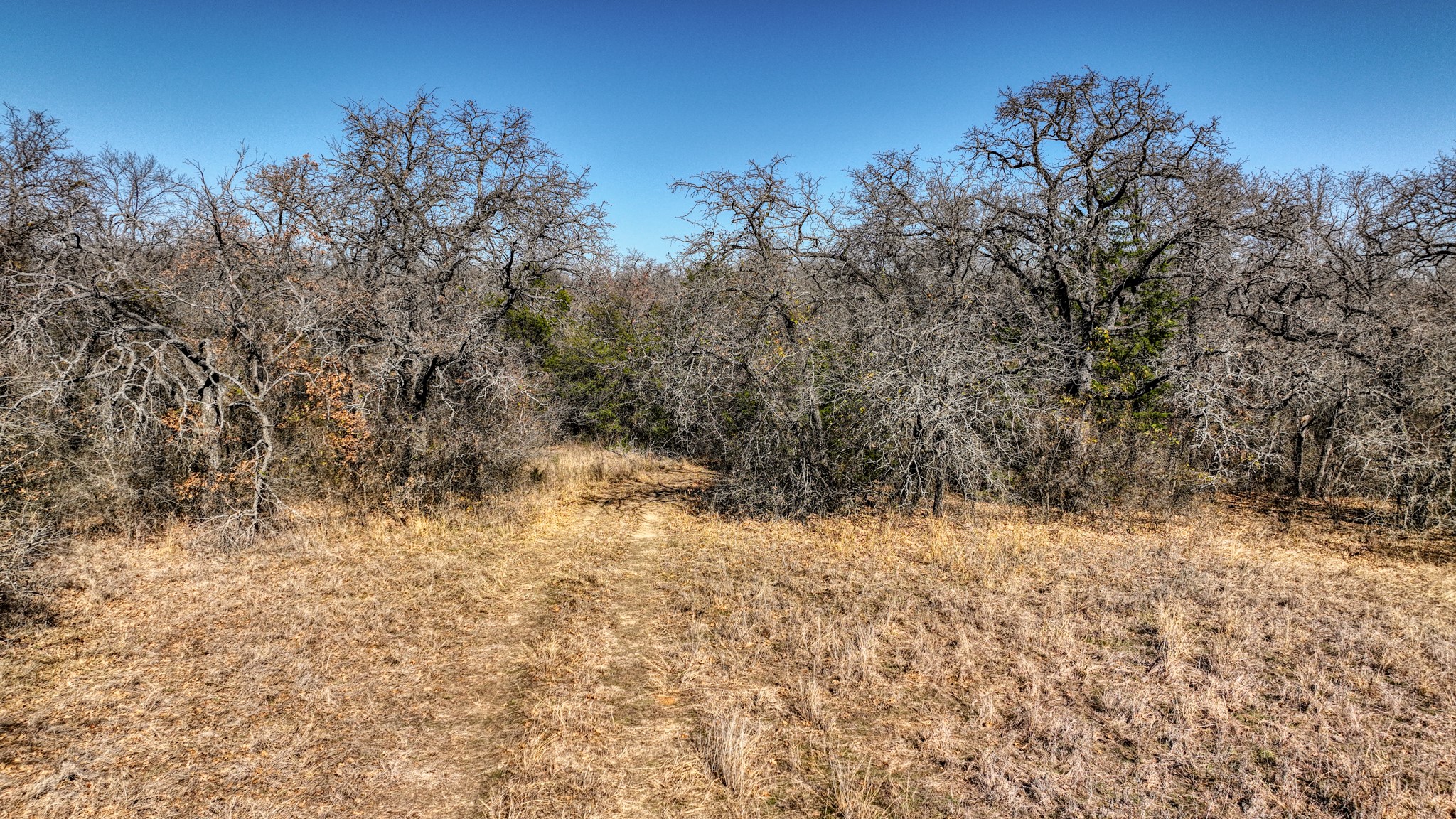 Tract 1 Farm To Market 2048 Boyd TX 76023