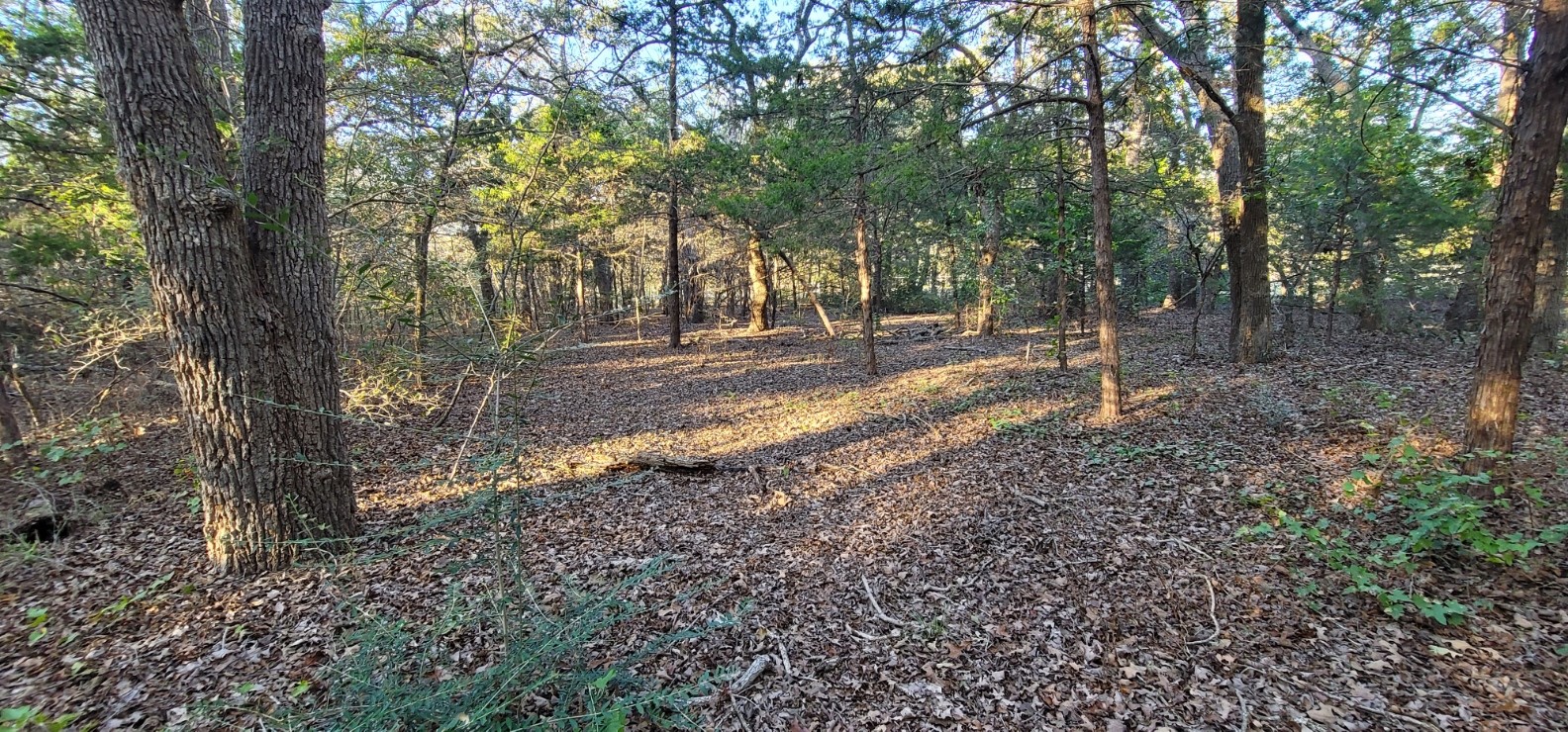 0 County Road 2261 Valley View TX 76272