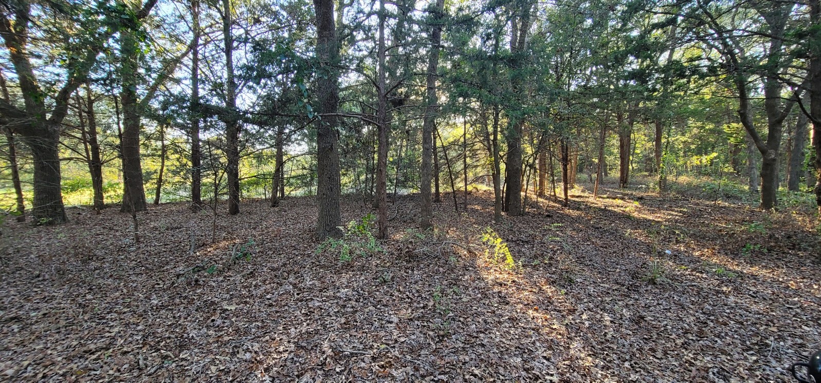 0 County Road 2261 Valley View TX 76272