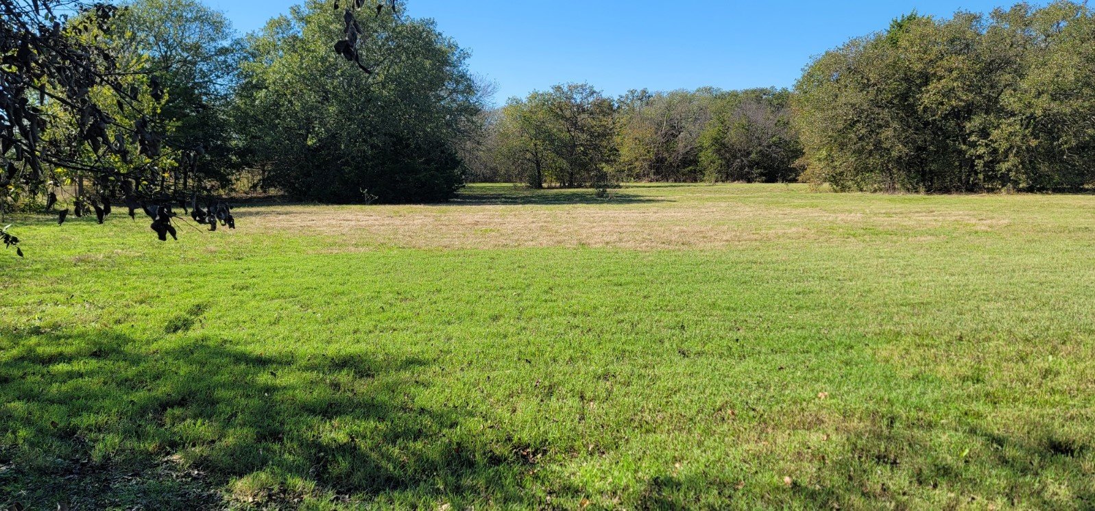 0 County Road 2261 Valley View TX 76272