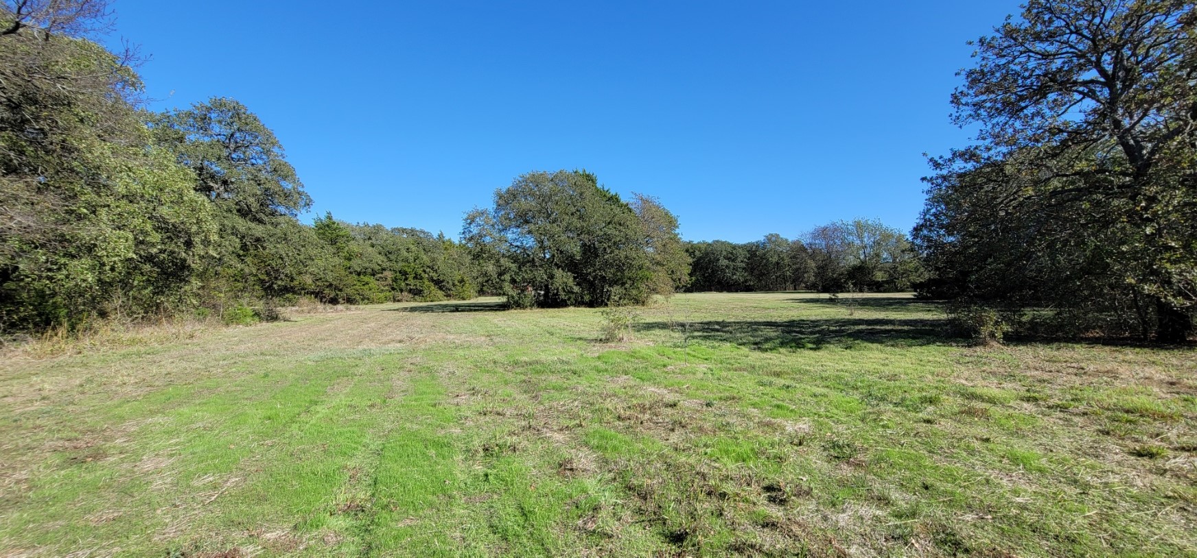 0 County Road 2261 Valley View TX 76272