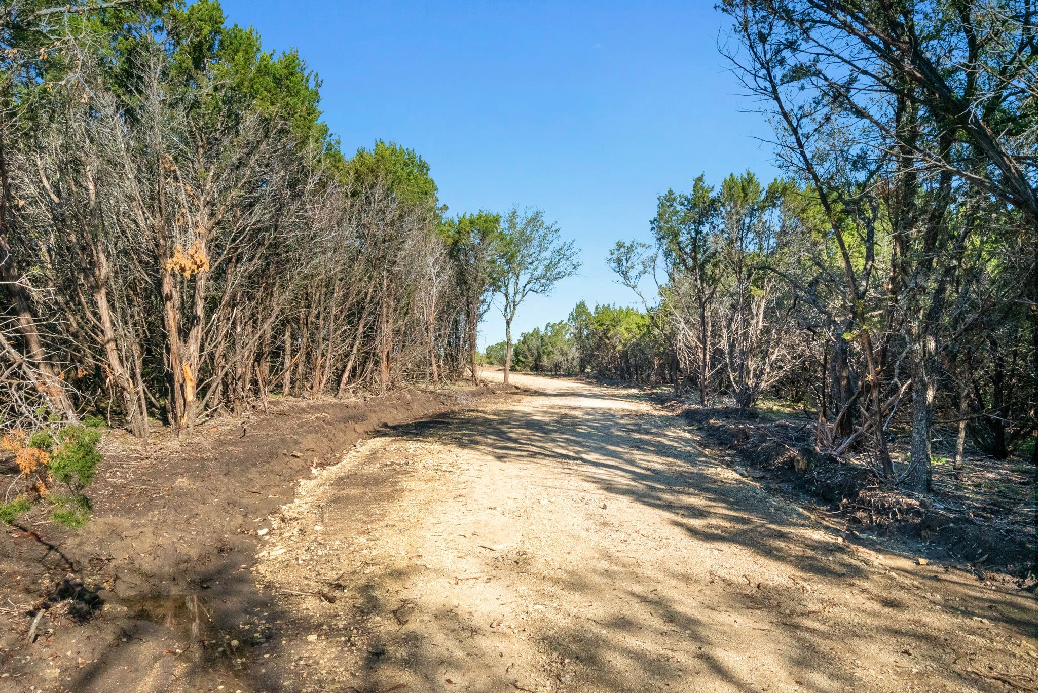 Tbd County Road 1012 Glen Rose TX 76043
