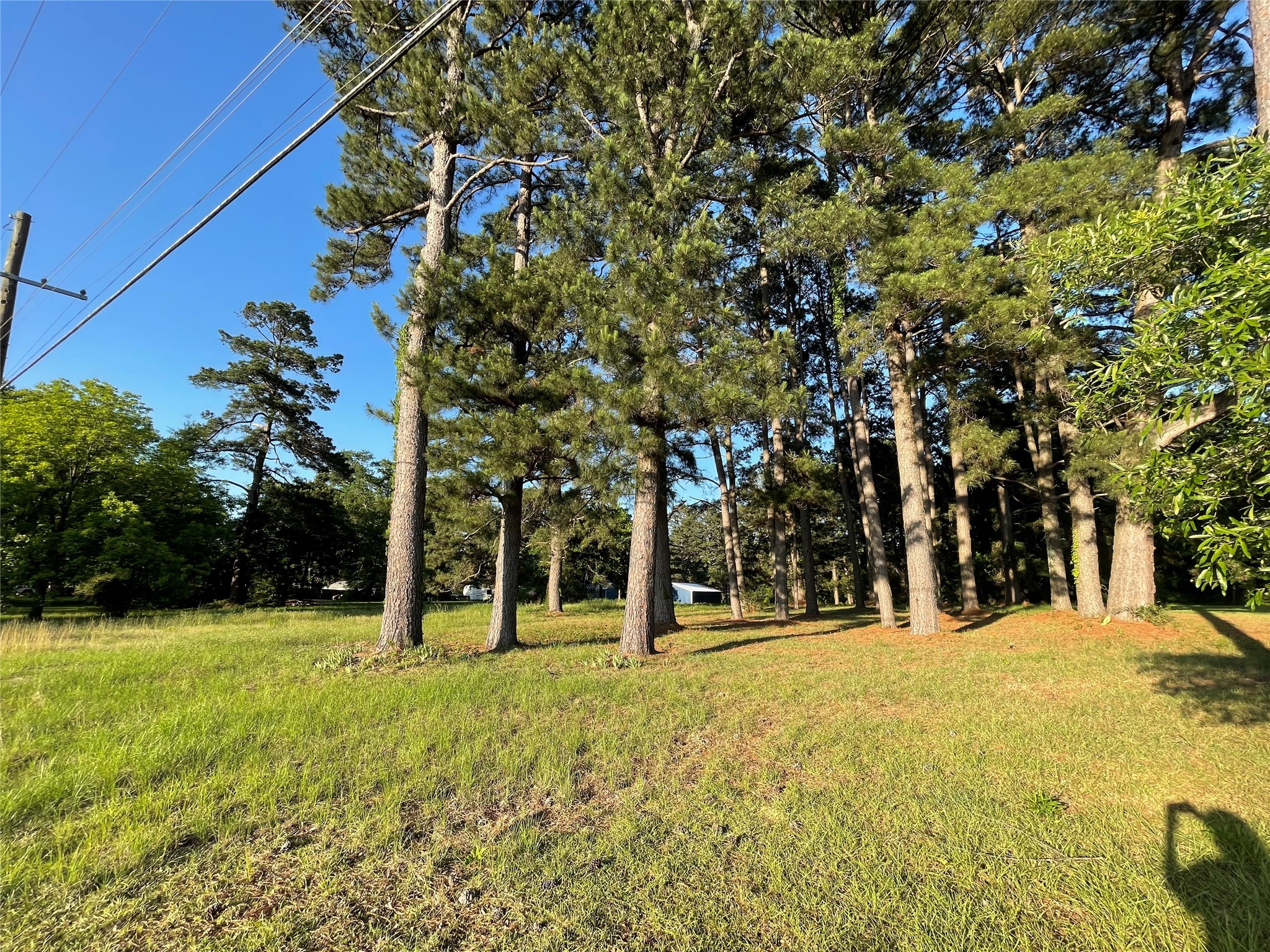 601 Cemetery Road NW Springhill LA 71075