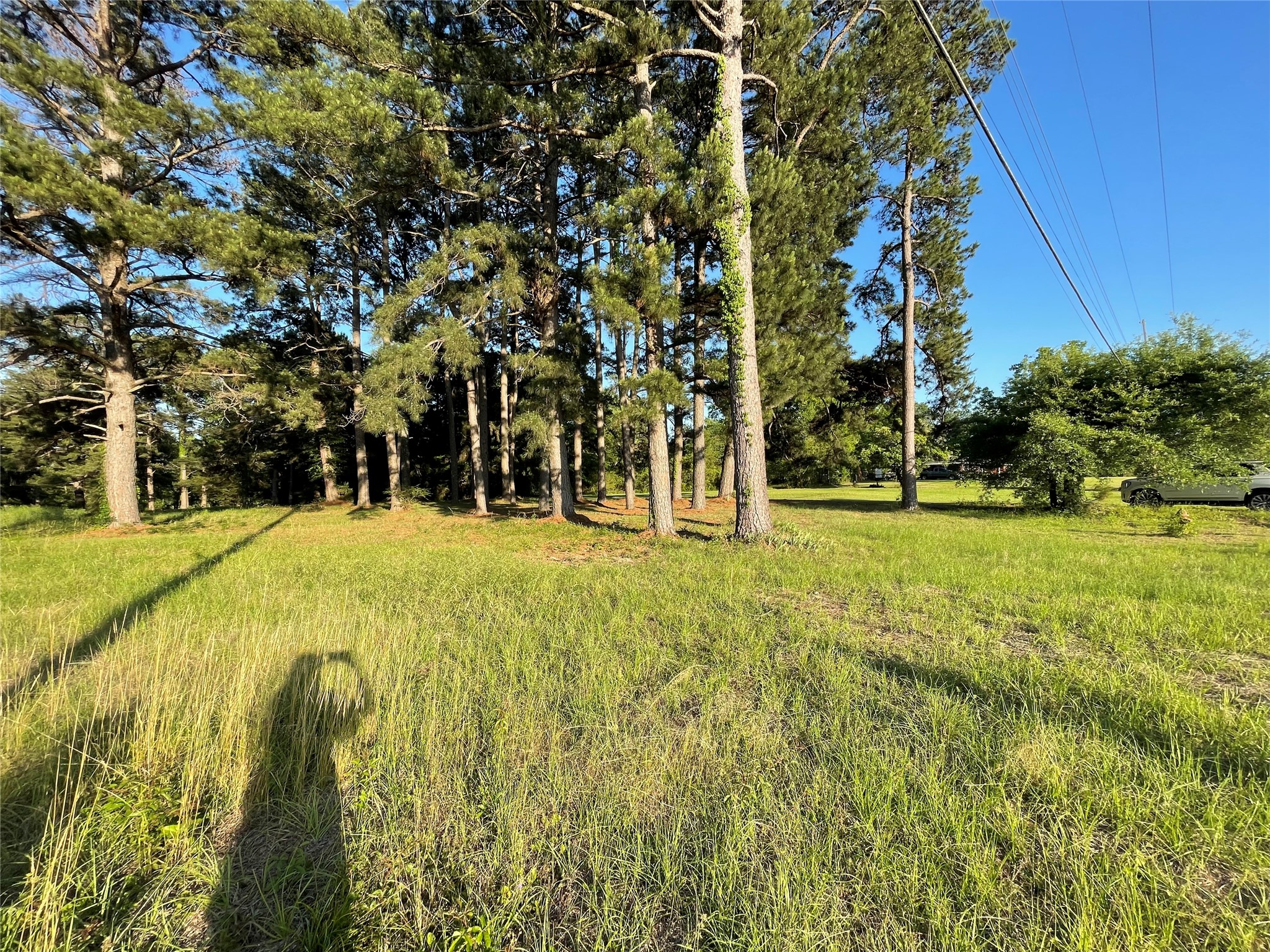 601 Cemetery Road NW Springhill LA 71075
