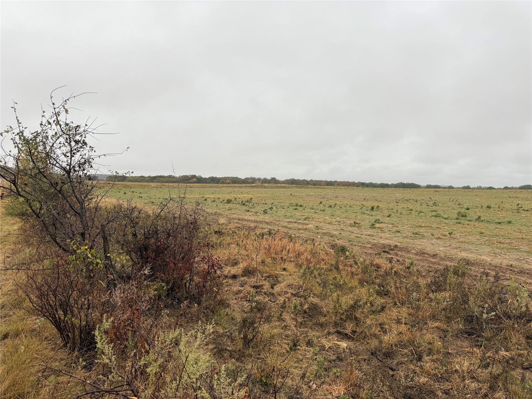 Tract 1 Tbd Fm 1178 Clyde TX 79510