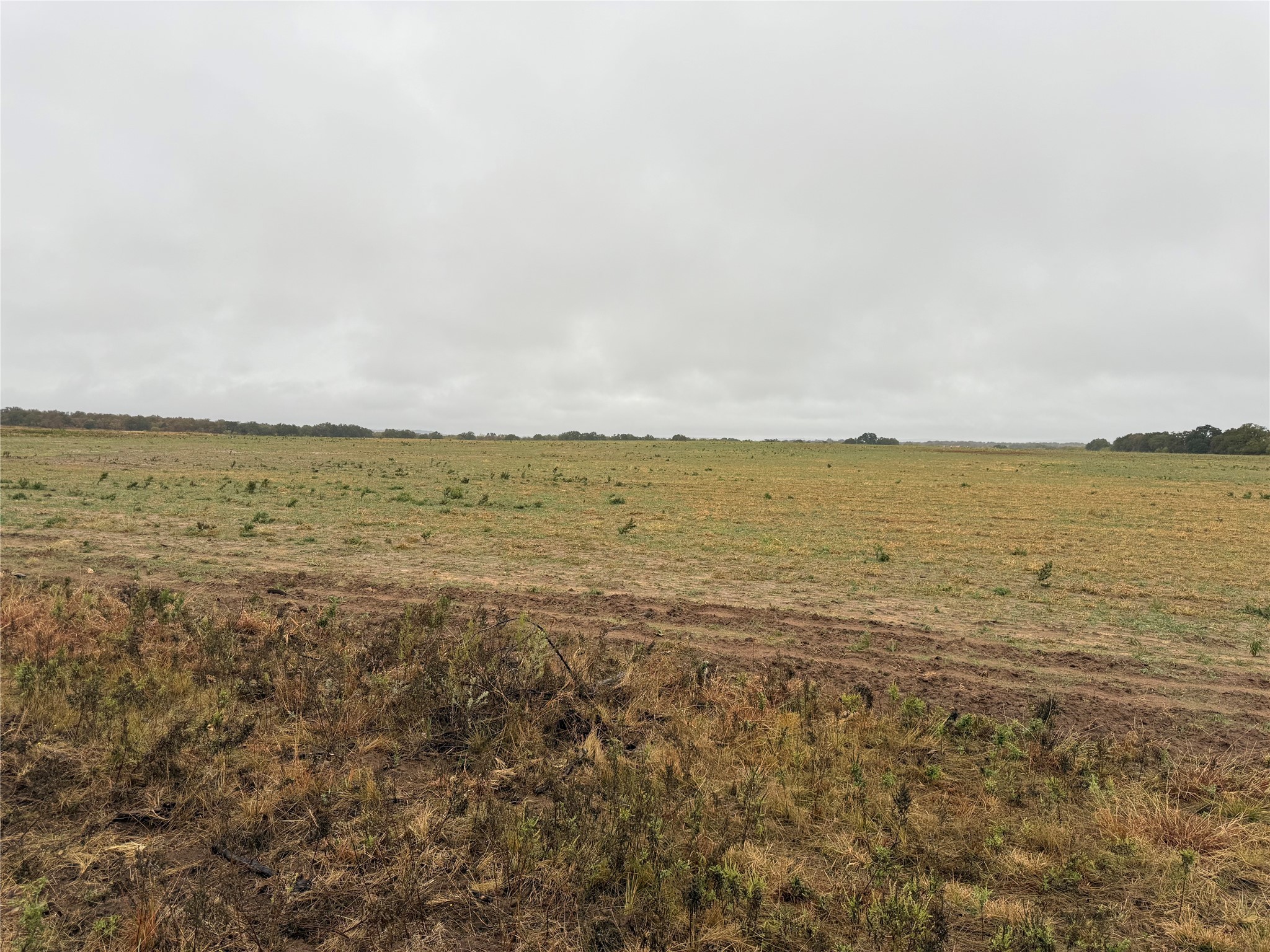 Tract 1 Tbd Fm 1178 Clyde TX 79510