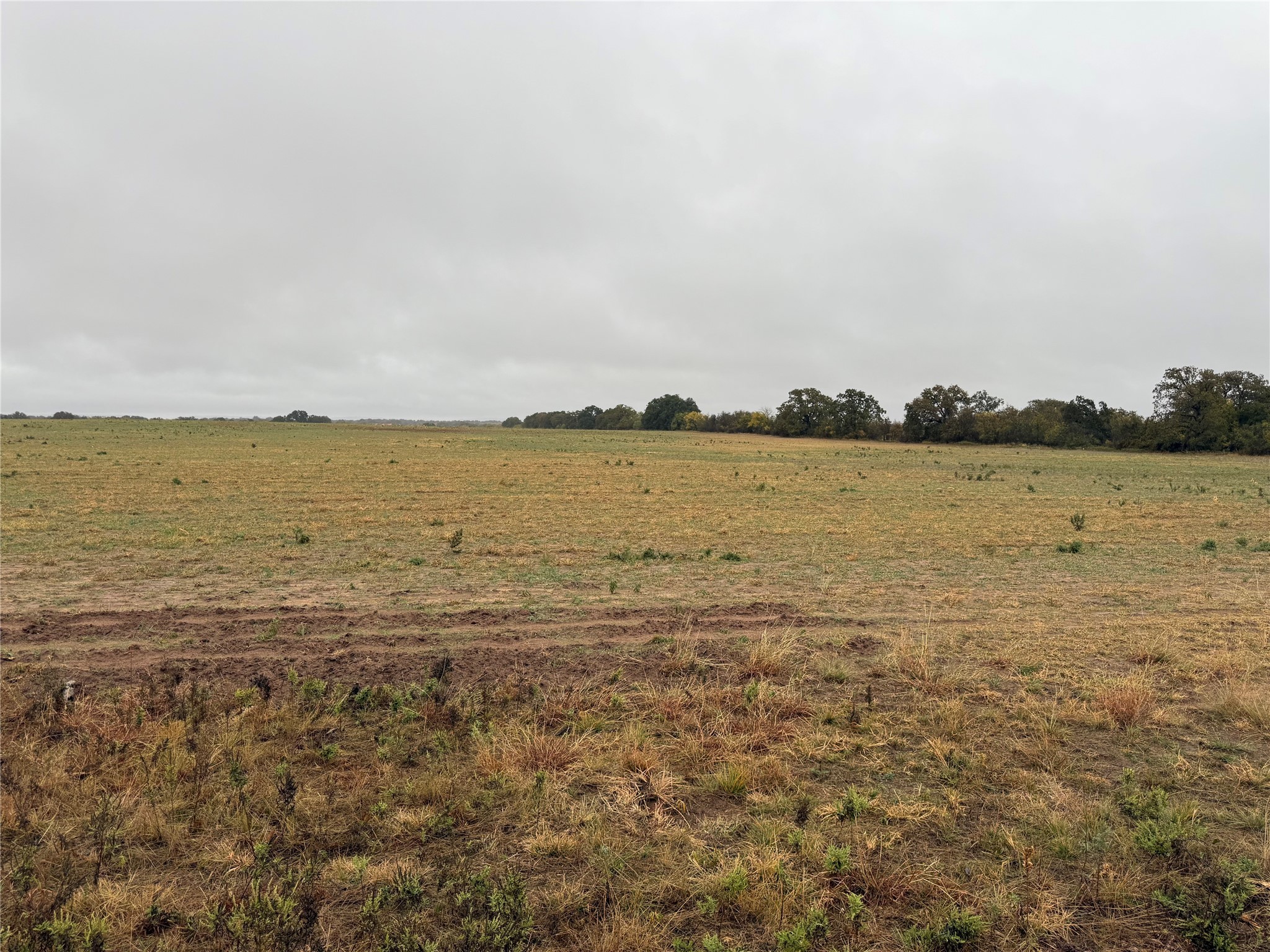 Tract 1 Tbd Fm 1178 Clyde TX 79510