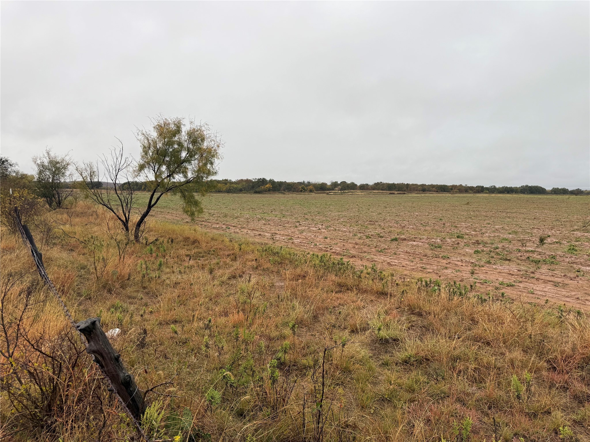 Tract 1 Tbd Fm 1178 Clyde TX 79510