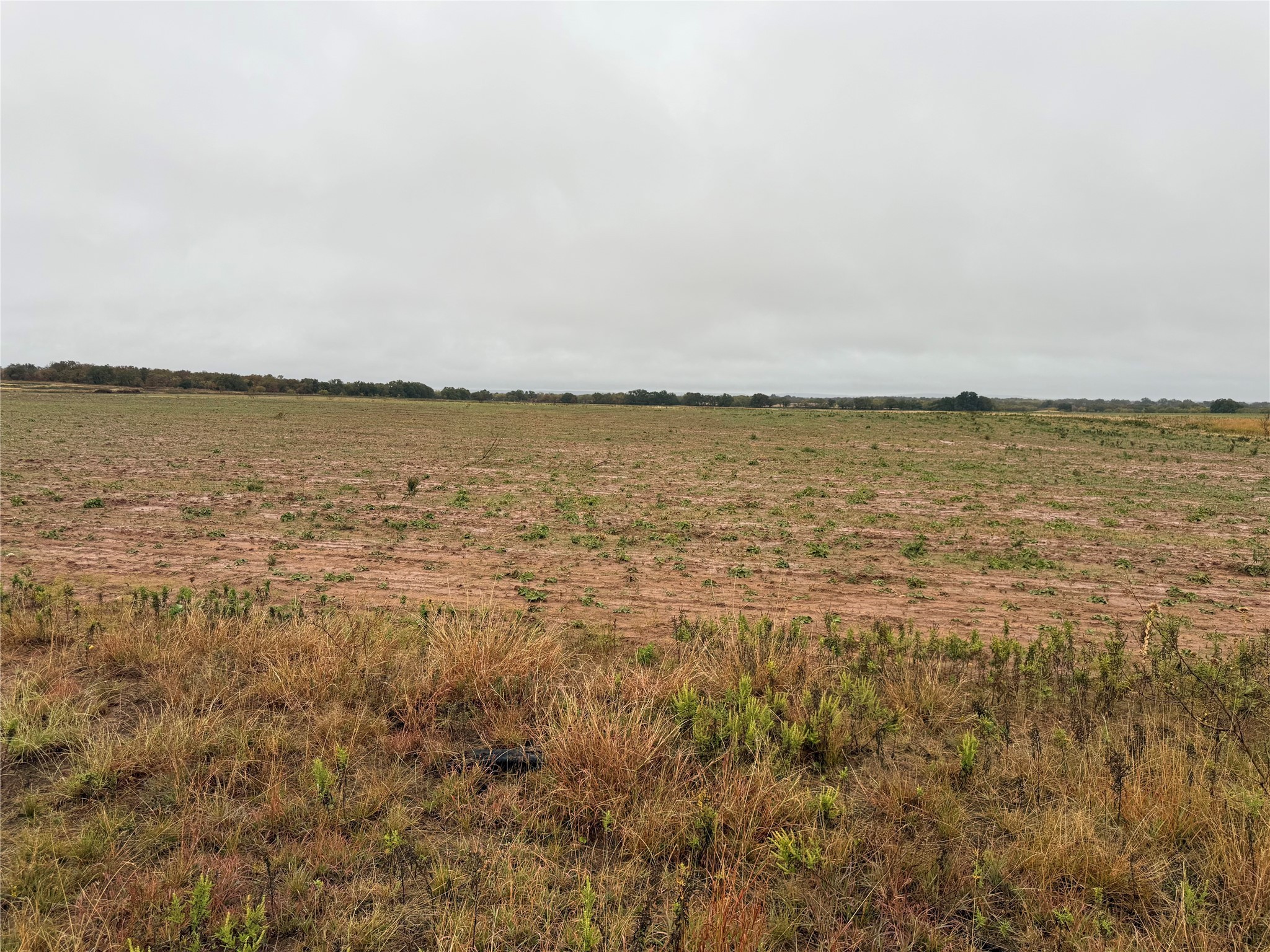 Tract 1 Tbd Fm 1178 Clyde TX 79510
