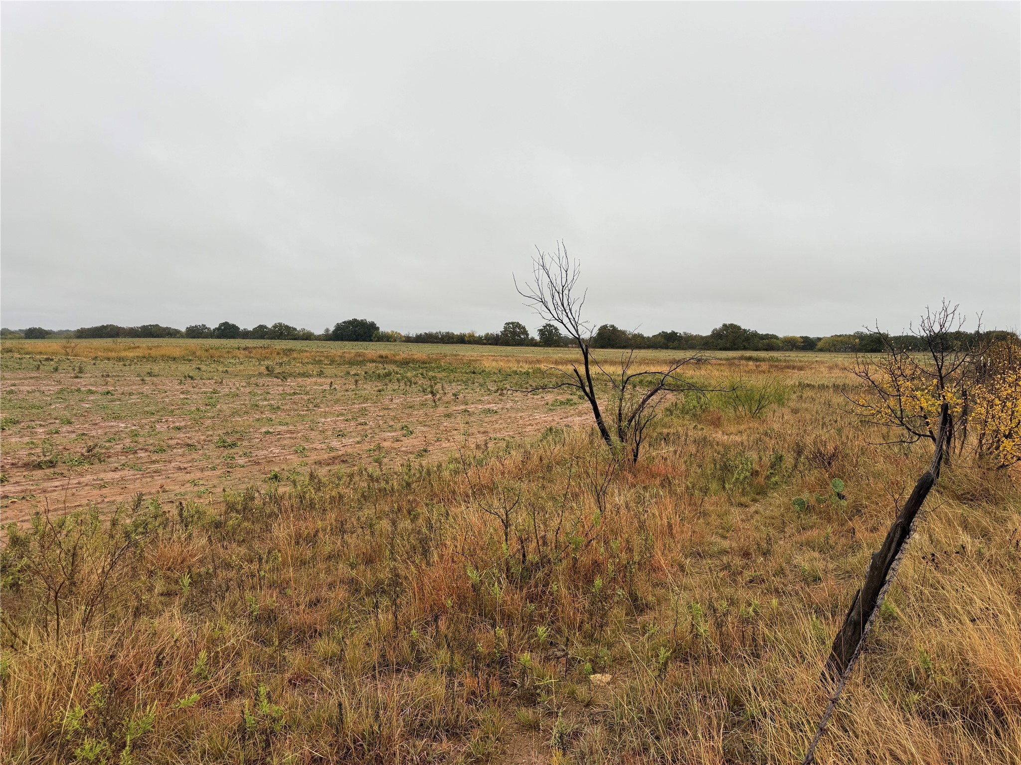Tract 1 Tbd Fm 1178 Clyde TX 79510