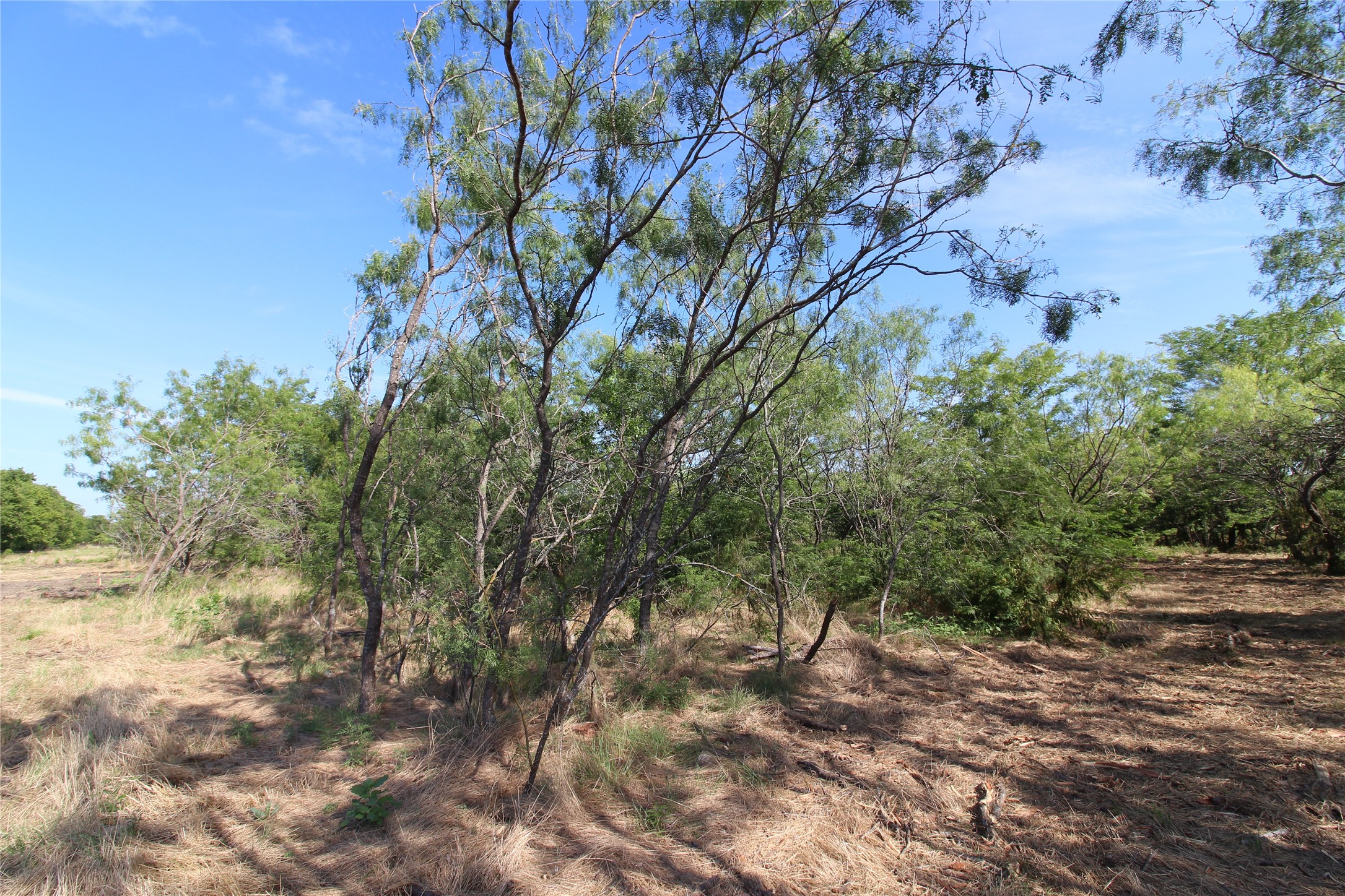 Tbd Lot 8 Fm 2860 Kaufman TX 75142