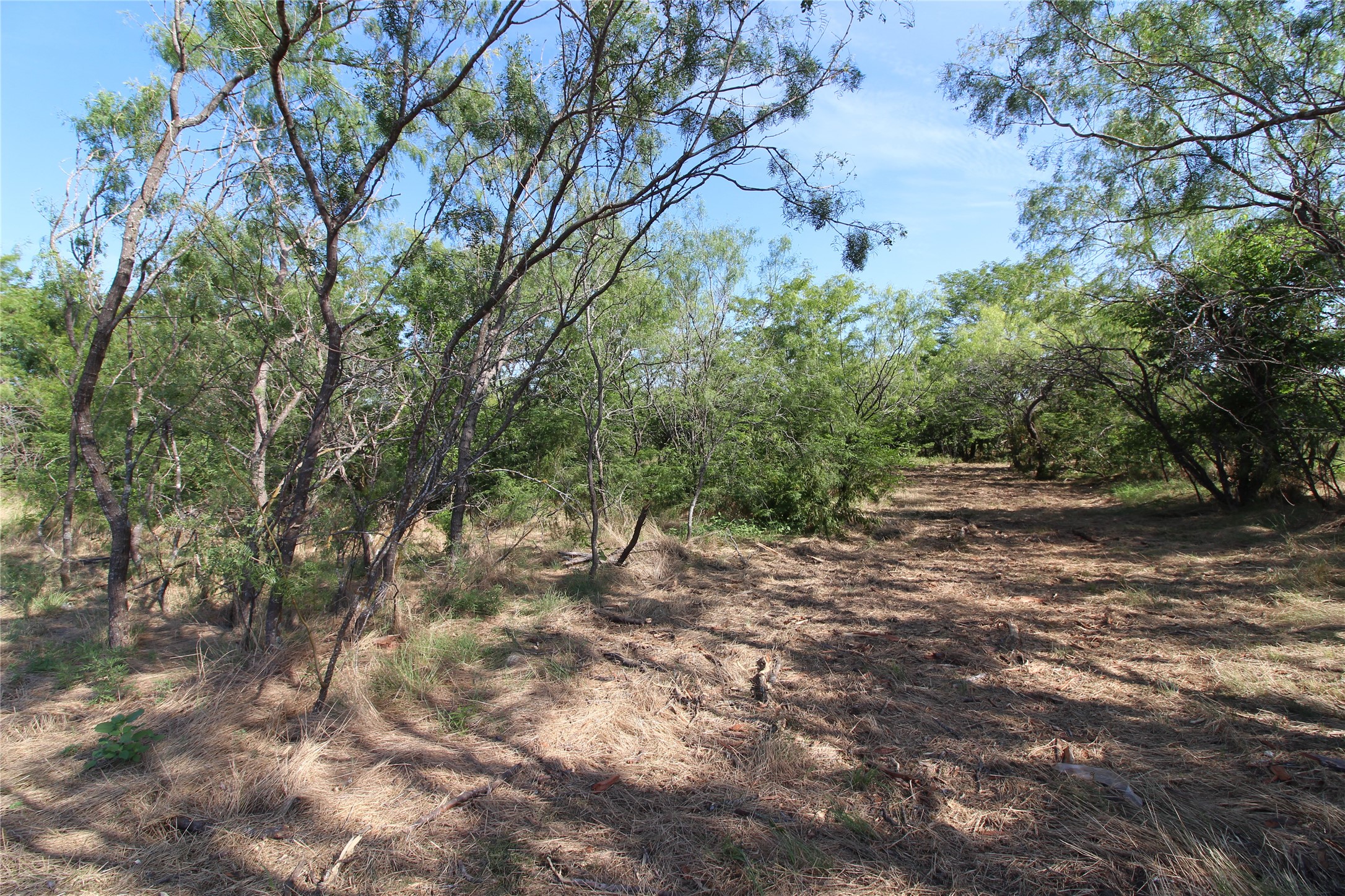 Tbd Lot 8 Fm 2860 Kaufman TX 75142