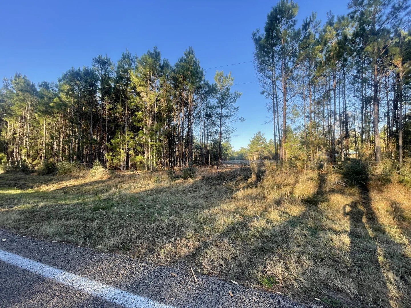 Lot 4 E Fm 942 Corrigan TX 75934