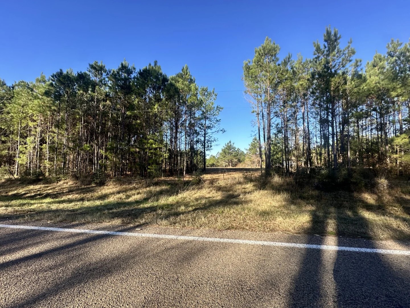 Lot 4 E Fm 942 Corrigan TX 75934