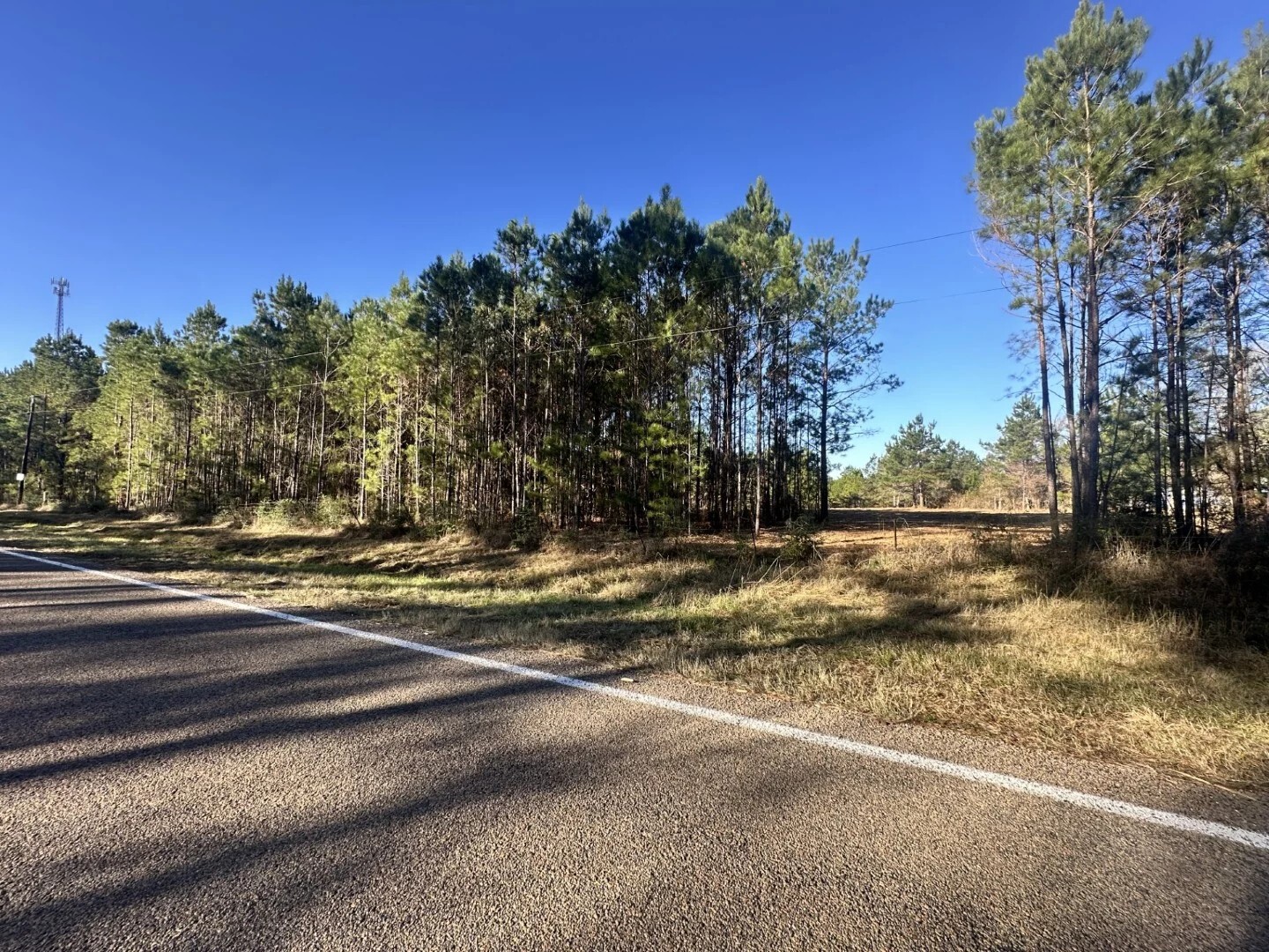 Lot 4 E Fm 942 Corrigan TX 75934