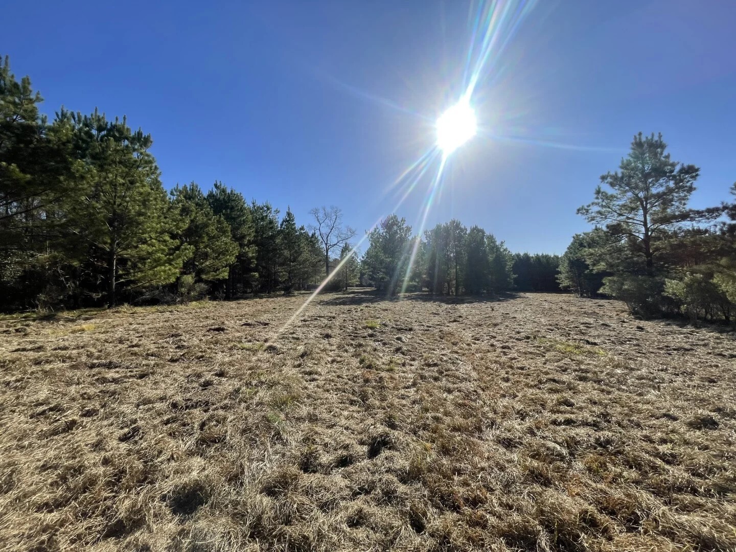 Lot 4 E Fm 942 Corrigan TX 75934