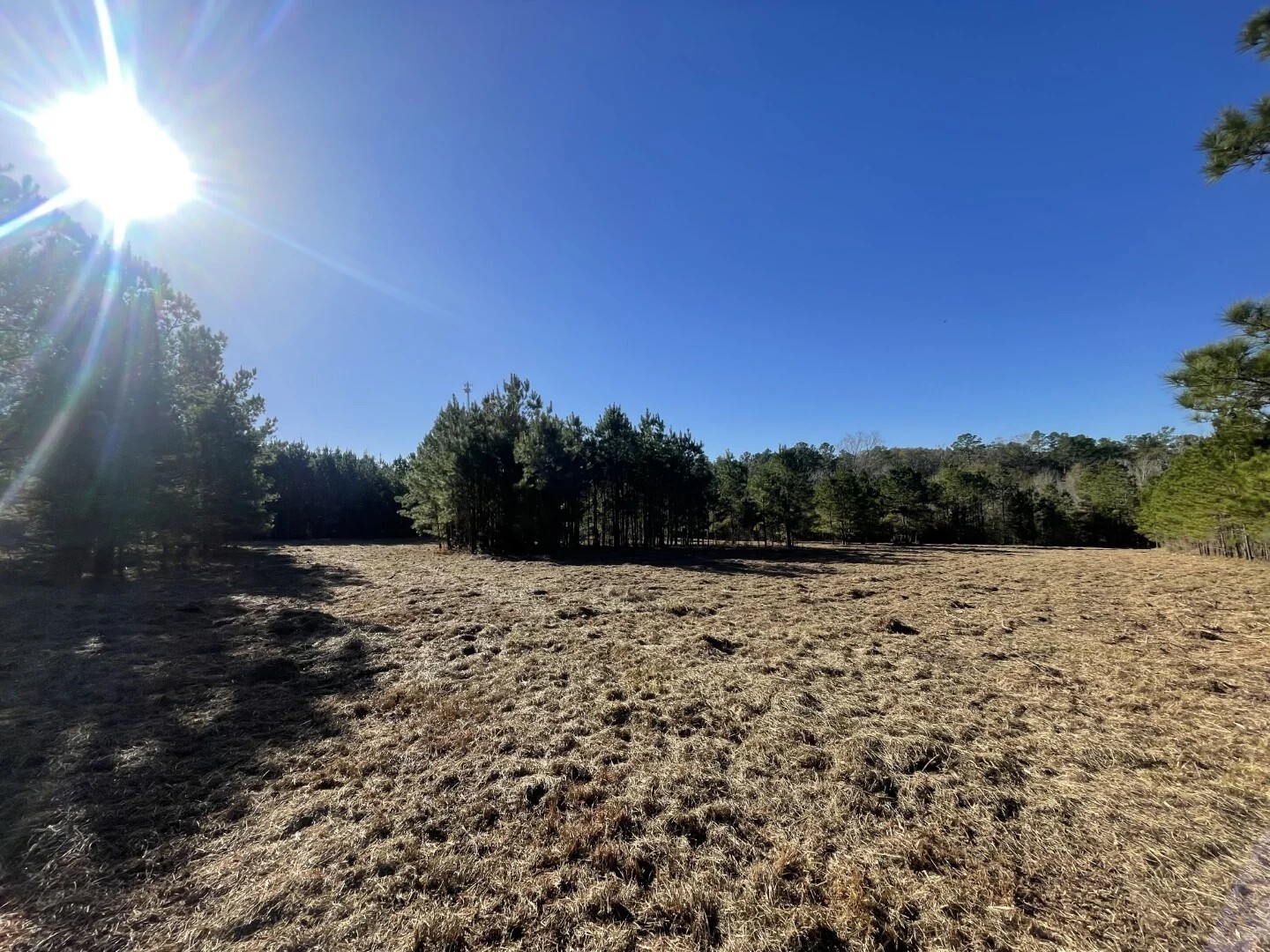 Lot 4 E Fm 942 Corrigan TX 75934