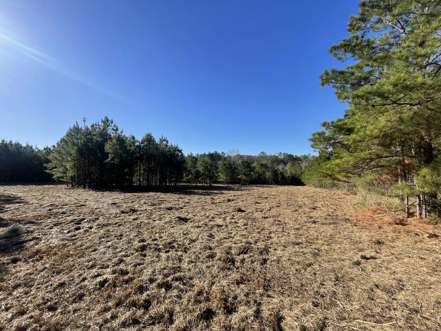 Lot 4 E Fm 942 Corrigan TX 75934