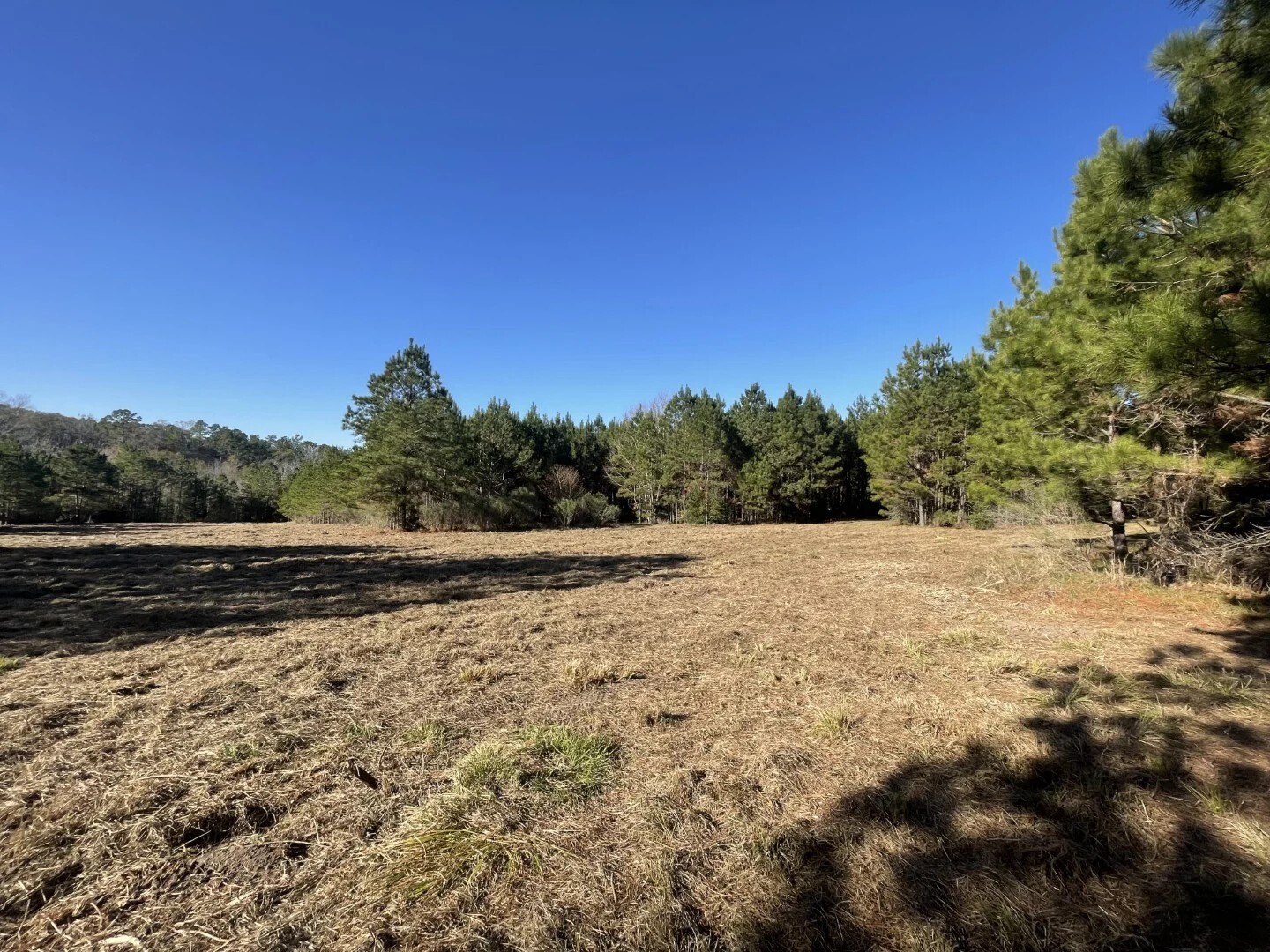Lot 4 E Fm 942 Corrigan TX 75934