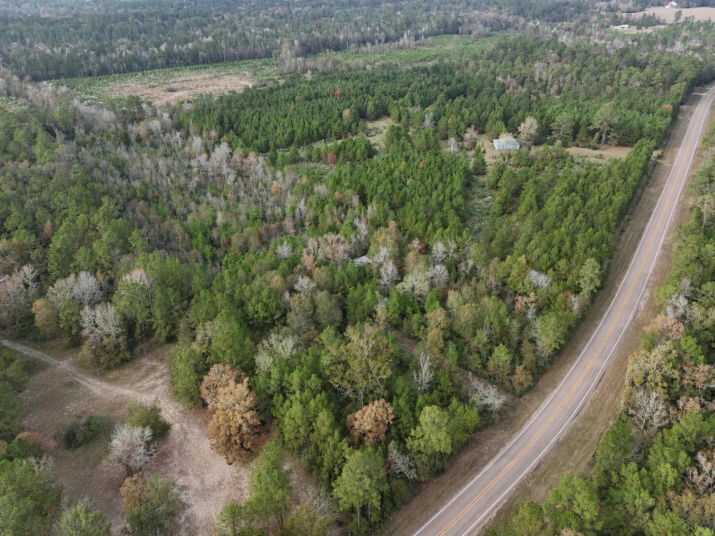 Lot 4 E Fm 942 Corrigan TX 75934