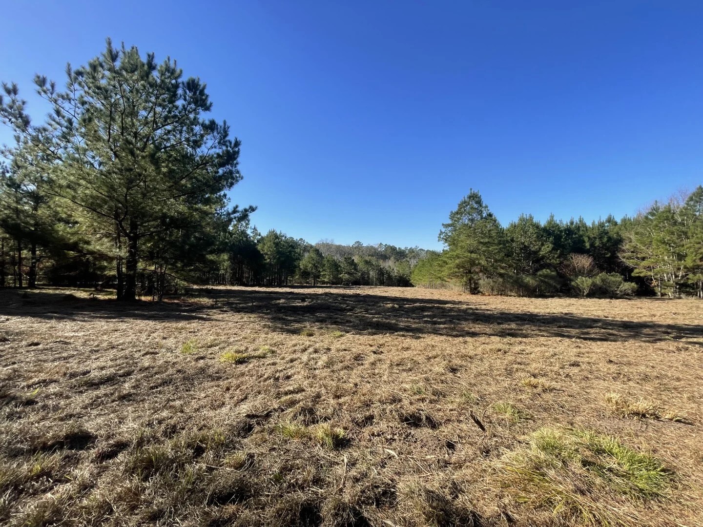 Lot 4 E Fm 942 Corrigan TX 75934