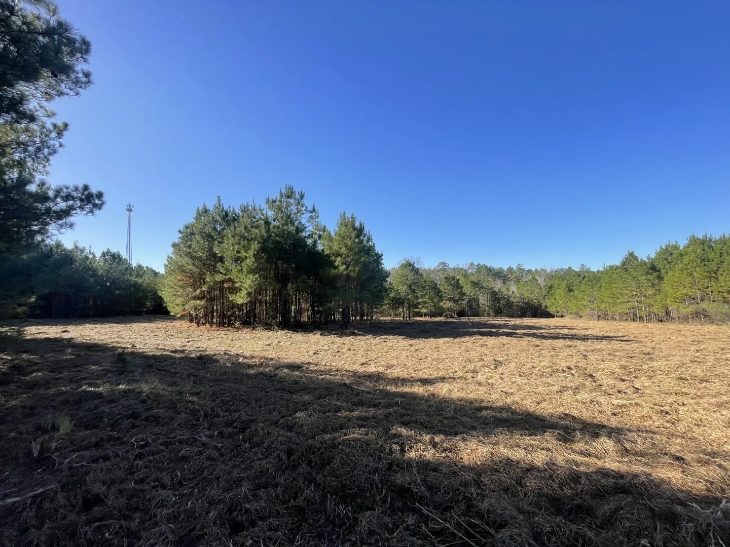 Lot 4 E Fm 942 Corrigan TX 75934