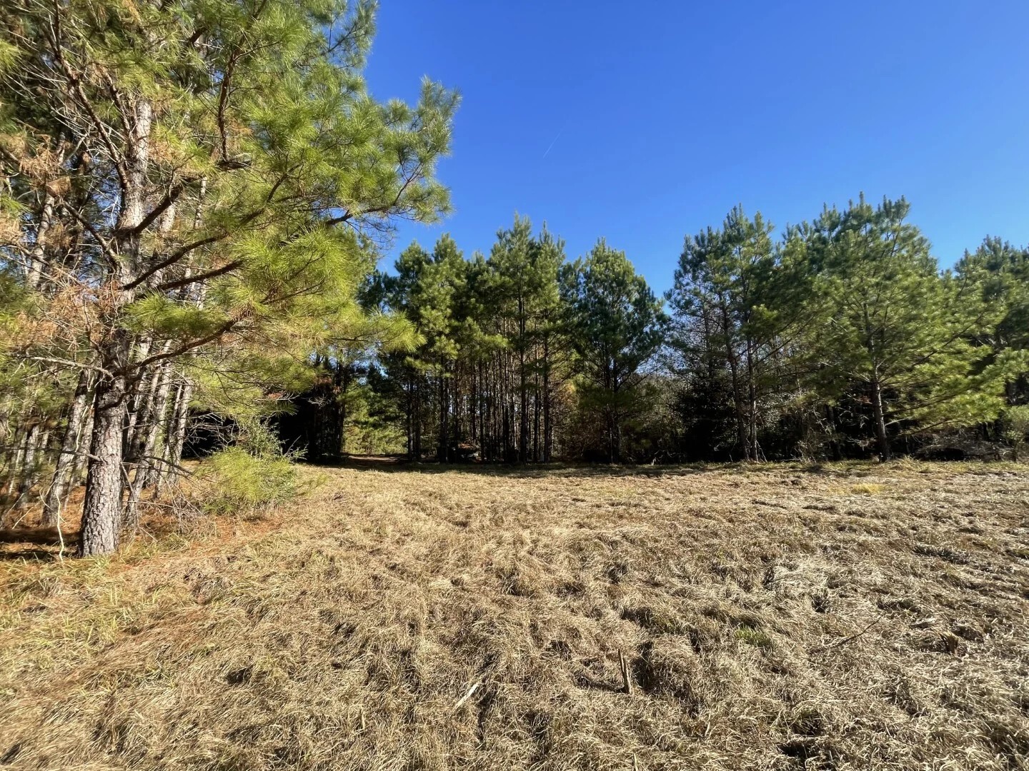 Lot 4 E Fm 942 Corrigan TX 75934