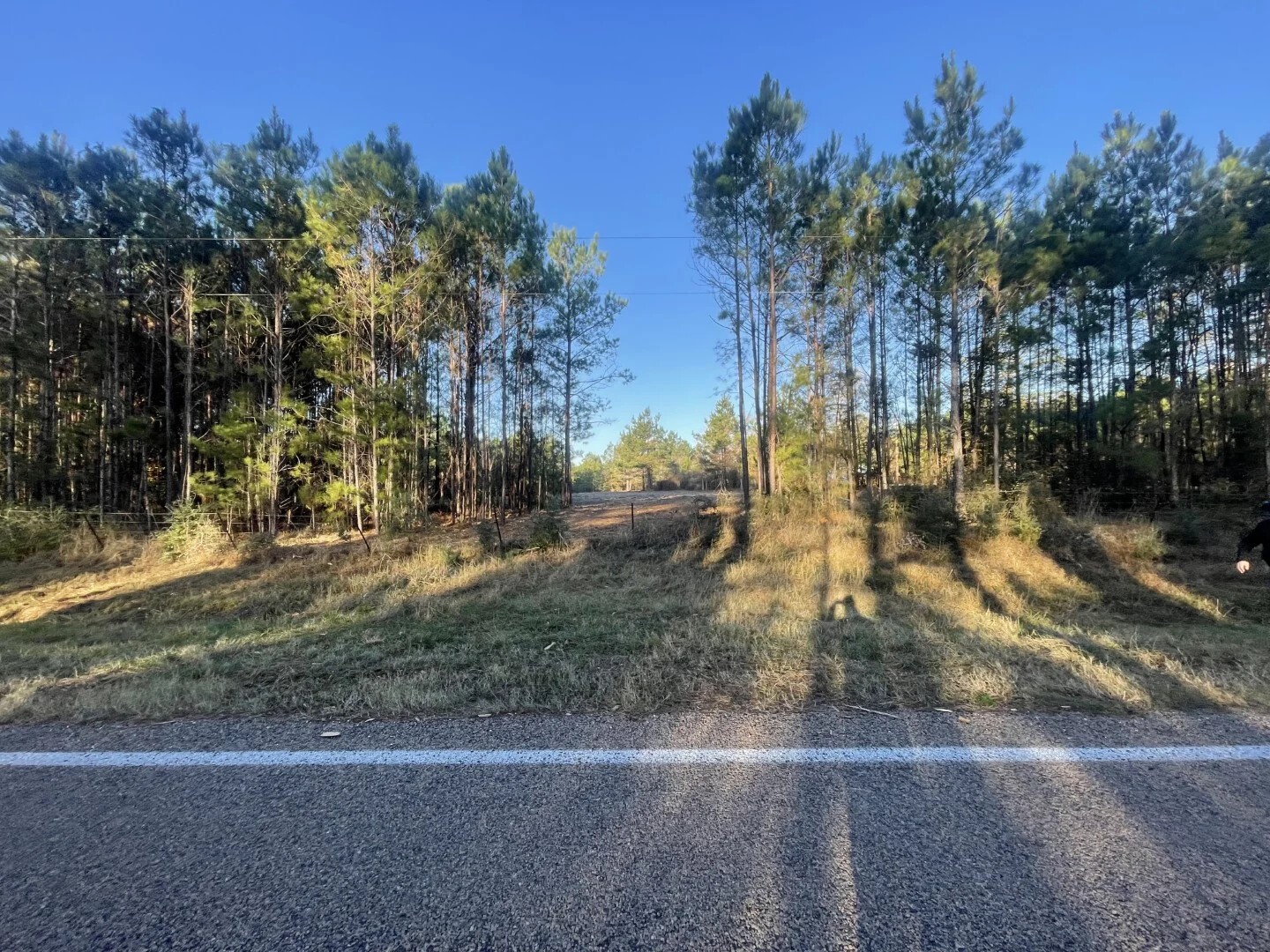 Lot 4 E Fm 942 Corrigan TX 75934