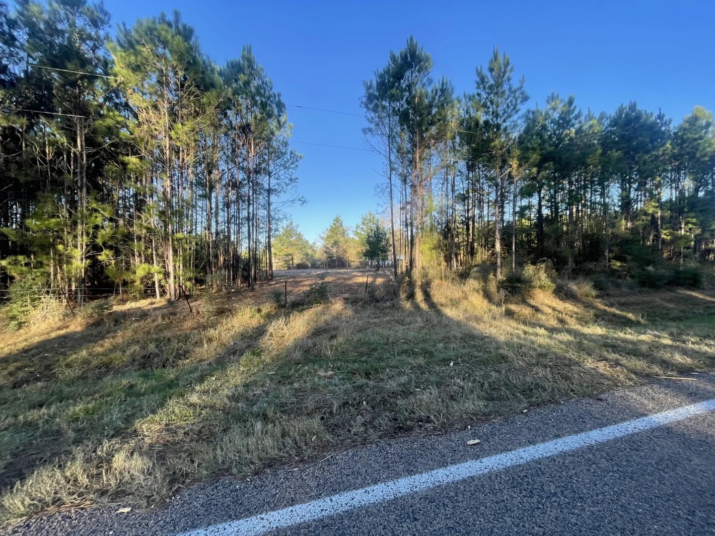 Lot 4 E Fm 942 Corrigan TX 75934