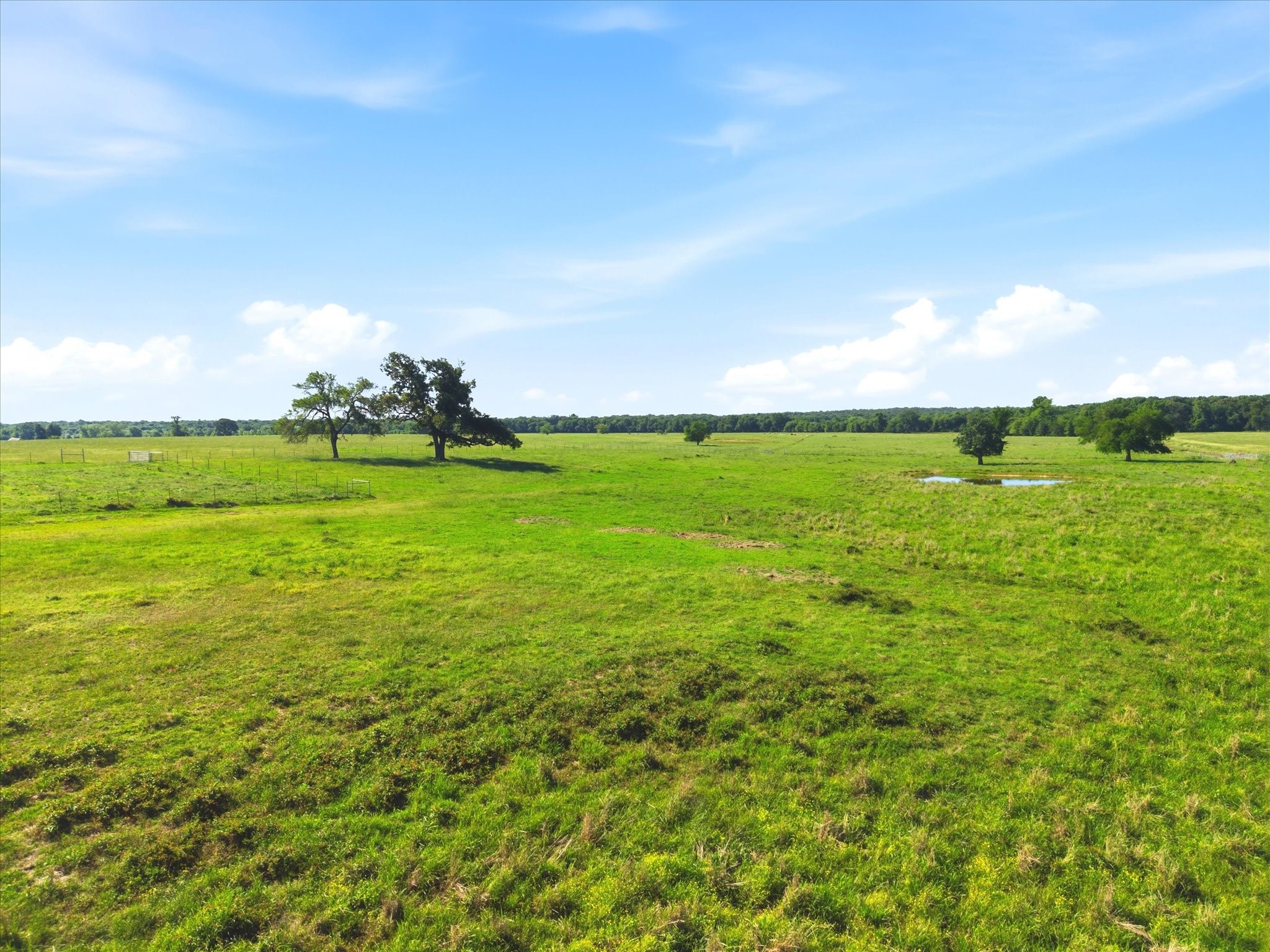 Tbd Farm To Market 1995 Van TX 75790
